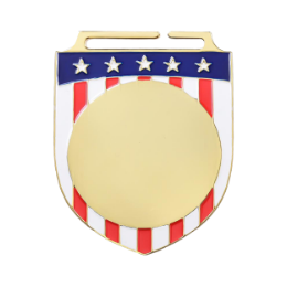 Shinny Gold Shield Blank Medals