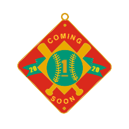 Baseball medals