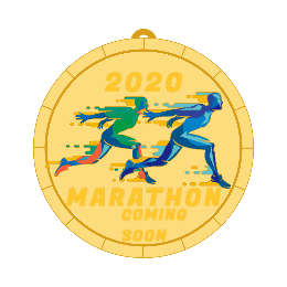  Marathon Medals1