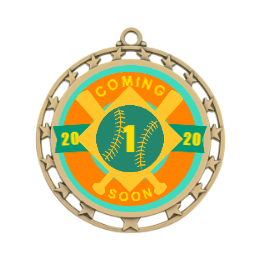 2020 Baseball Medals