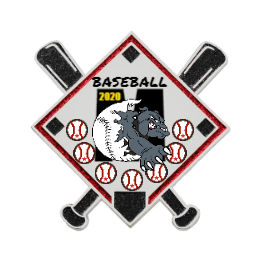 2020 Baseball Team Trading Pins