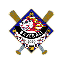 Baseball 2020 Custom Trading Pins