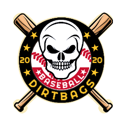 Dirtbags baseball Pins