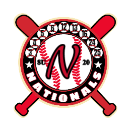Nationals Baseball Custom Trading Pins